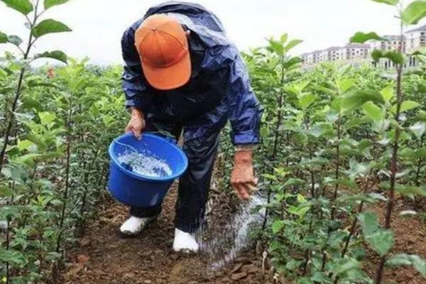影响植物生长的因素，有水分、空气、光照等