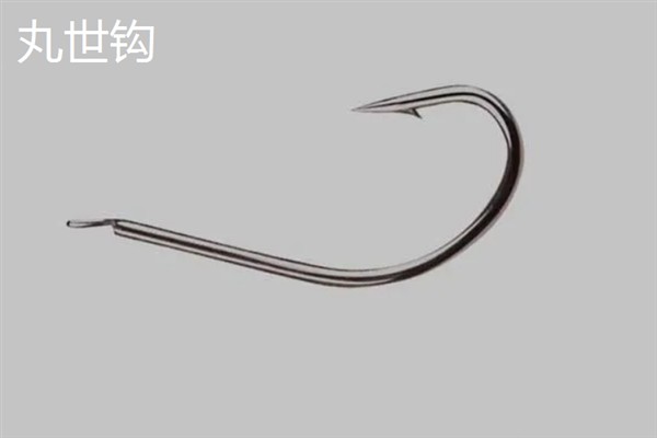 垂钓淡水白鲳鱼用哪种饵料，虾肉、瘦肉、玉米等鱼饵均可使用
