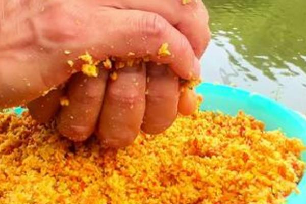 春季钓鲫鱼用哪种饵料打窝,酒米、五谷杂粮、麝香米均是适宜选择