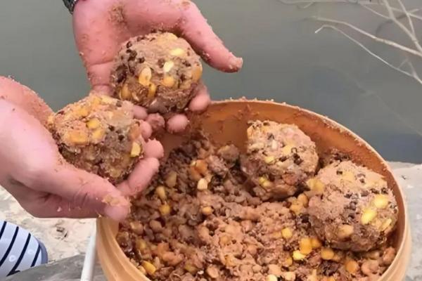 春季钓鲫鱼用哪种饵料打窝,酒米、五谷杂粮、麝香米均是适宜选择