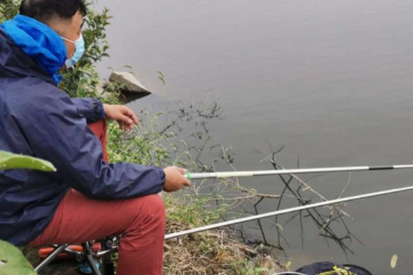 春季钓鲫鱼用哪种饵料打窝,酒米、五谷杂粮、麝香米均是适宜选择