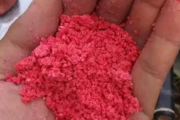 春季钓鲫鱼用哪种饵料打窝,酒米、五谷杂粮、麝香米均是适宜选择