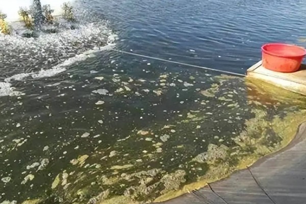 鱼塘中的氨氮为什么会变多,主要是缺氧、排泄物过多、酸碱值较高所致