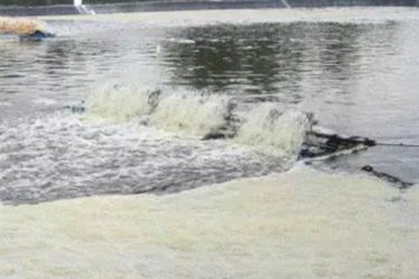 鱼塘中的氨氮为什么会变多,主要是缺氧、排泄物过多、酸碱值较高所致