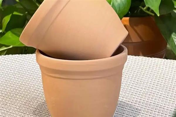 火鹤花的养护方法，夏季每隔2天浇一次水