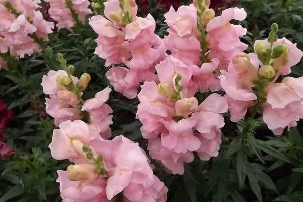 种子的适宜生长环境，环境足够湿润才能让它焕发生命活性