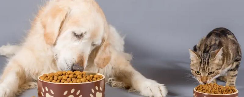 犬猫需要的镁含量，狗粮中的镁含量不得低于0.06%