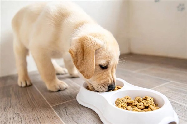 犬猫需要的镁含量，狗粮中的镁含量不得低于0.06%