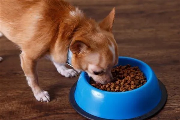 犬猫需要的镁含量，狗粮中的镁含量不得低于0.06%