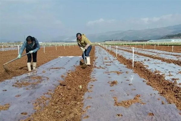农村承包户退租土地流转艰难的原因，土地碎片化严重、经济补偿不足