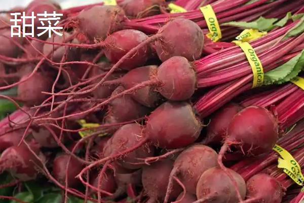 东北有什么主要农作物，以甜菜、玉米、大豆等品种为主