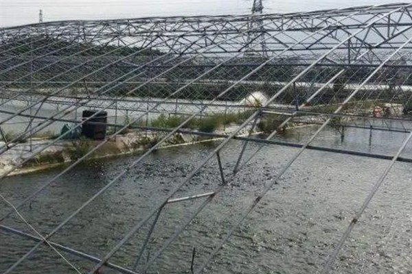 甲鱼冬季怎么养殖，将池水温度保持在10℃左右