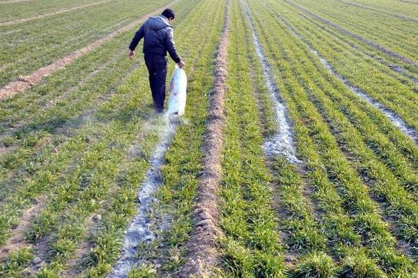 草木灰能不能杀死土里的病虫害，对害虫、虫卵具有灭杀效果