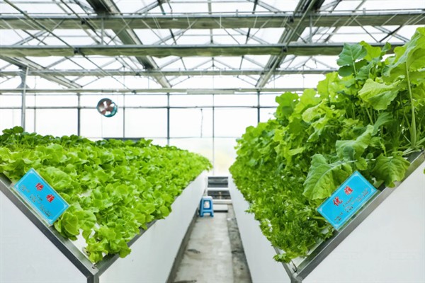 智慧农业是什么,就是智能化农业