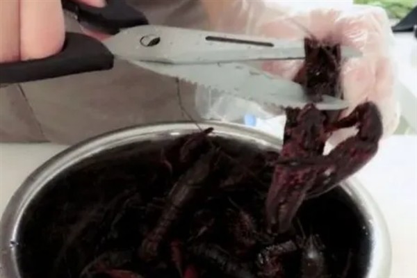 小龙虾的虾线要不要清除，拔出虾线更加干净卫生
