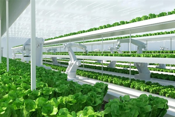 智慧农业是什么,就是智能化农业