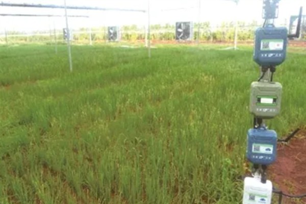 智慧农业是什么,就是智能化农业