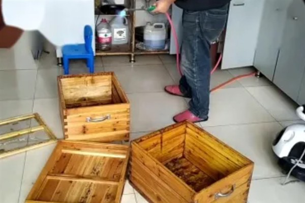 蜂箱有蚂蚁如何处理，要及时将箱巢移到有水源的地方