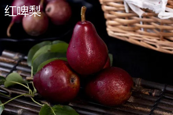 种哪些水果能挣钱，红啤梨、金珠果等品种具有理想的效益