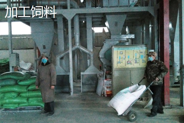 农村养殖什么东西可以致富，黑羽乌鸡、毛驴等动物值得考虑