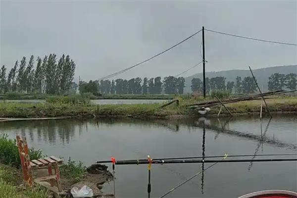 东北沙坑里有什么鱼，有麦穗鱼、钩子鱼等