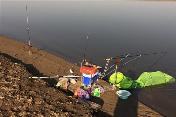 东北沙坑里有什么鱼，有麦穗鱼、钩子鱼等