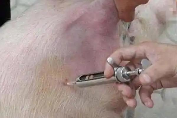 怎么使用兽用葡萄糖，根据使用对象决定注射量