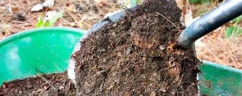 黑腐了土还能不能用，黑腐了的土还可以用