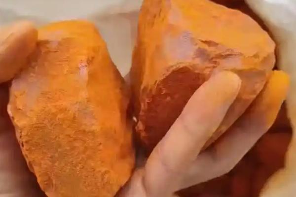 蜈蚣怕什么动物，蜈蚣怕公鸡、鸟类等