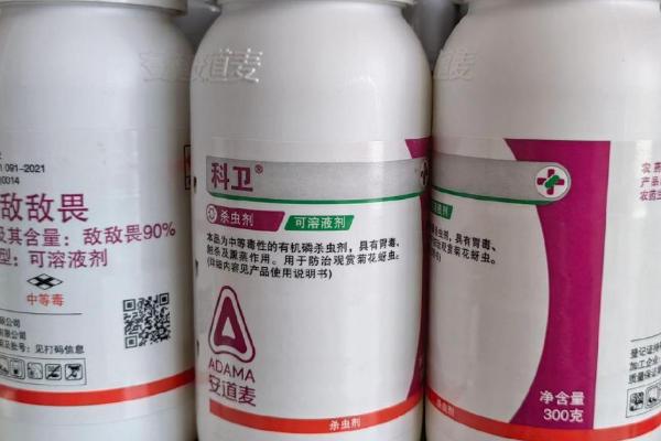 蜈蚣怕什么动物，蜈蚣怕公鸡、鸟类等