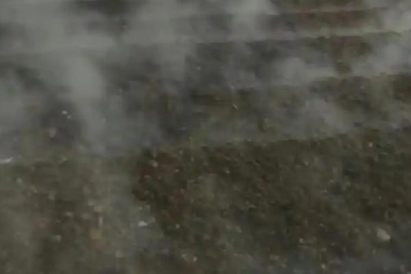 牛粪如何快速发酵，与米糠和发酵剂混匀再堆积发酵