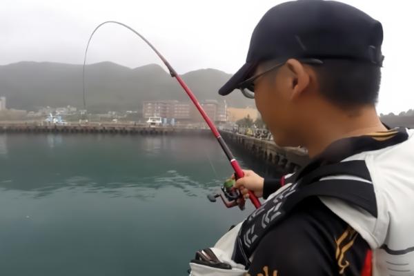 矶竿和路亚的区别,适用范围、垂钓鱼种均不同