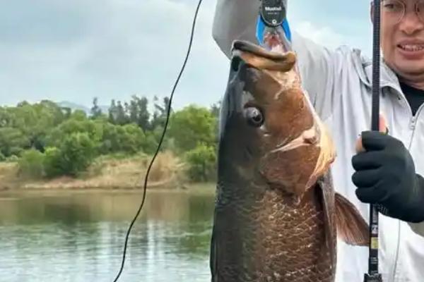 冬天钓鲫鱼钓深还是钓浅，以钓深为主