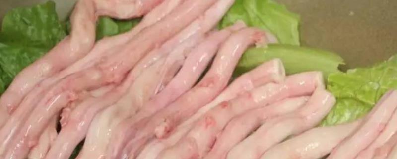 猪骨髓是不是脂肪，里面的主要营养物质是脂肪