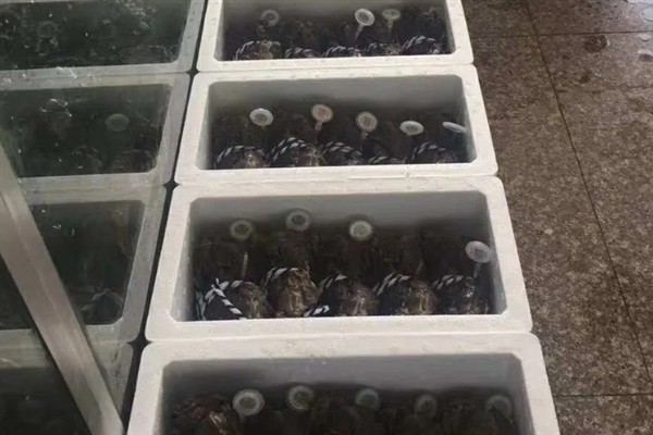 活蟹能不能托运，鲜活水产品一般禁止上高铁或飞机