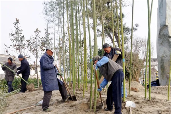 竹子有多少种，全世界有1200种以上