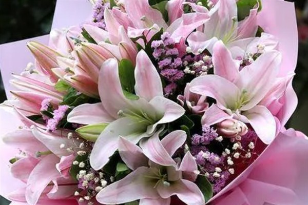 三朵百合花有什么花语，代表甜蜜爱情寓意着我爱你