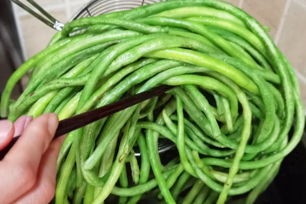 豇豆可以放冰箱吗，简单处理后可以放入冰箱