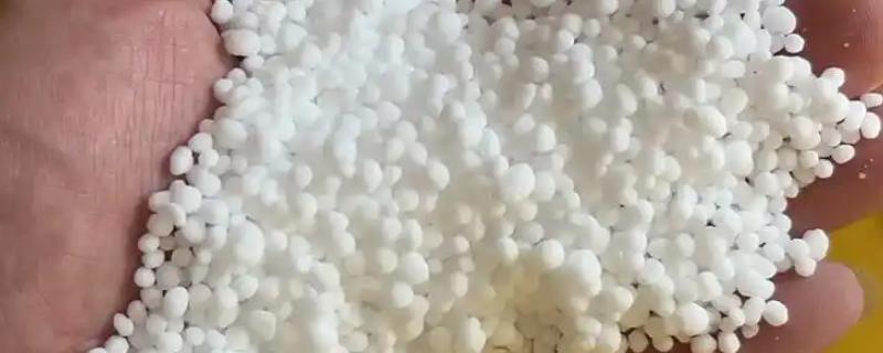 氮肥是不是尿素肥，氮肥包含尿素但不仅指尿素