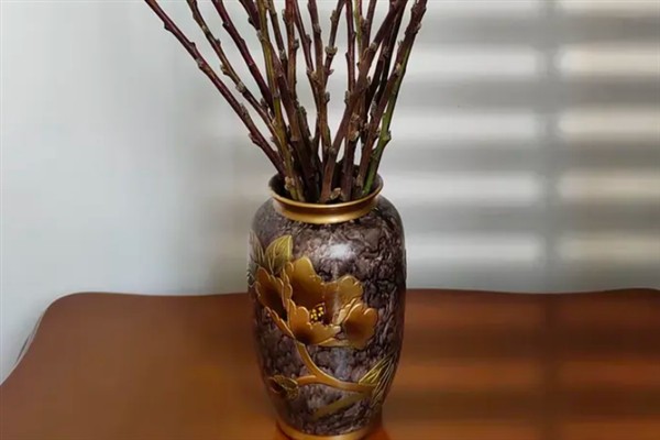 干枝梅怎么水培，每隔3天换一次水