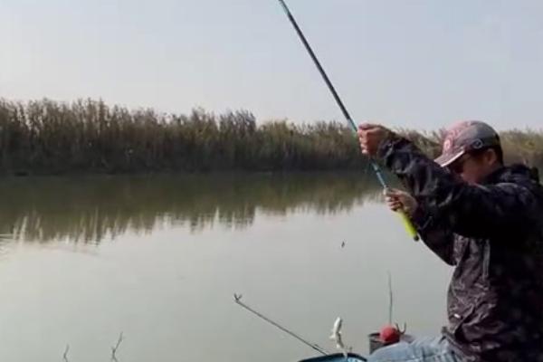 初冬天气适合钓鱼吗，适合进行垂钓
