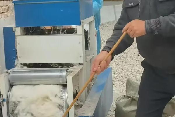 棉花种子如何贮藏，棉花种子水分含量不宜超过11-12%