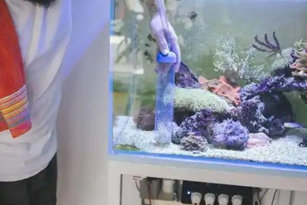 鹦鹉鱼不游动在缸底的原因，温度过低、受惊、缺氧都会造成
