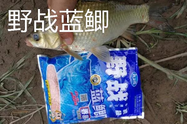 野钓用多大的伊势尼钩，垂钓小鱼用1号以下的钩型