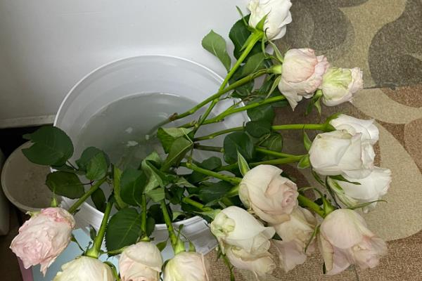 醒花能使用自来水吗，醒花可以使用自来水