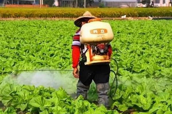 毒死蜱怎么使用，以兑水喷雾为主