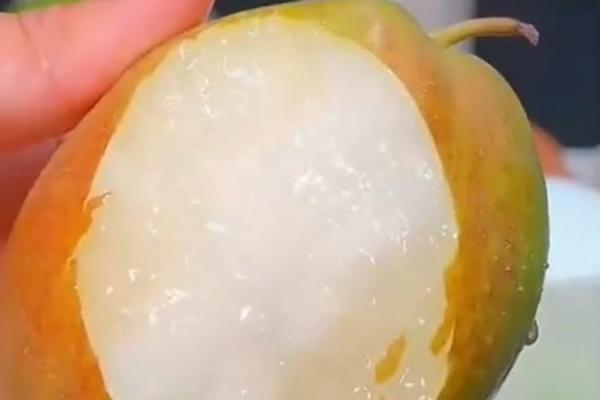 有哪些青皮梨子品种,常见的有库尔勒香梨、邹堂青皮梨等