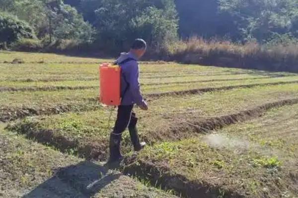 蔬菜远离肥料污染的方法，需合理施用氮肥