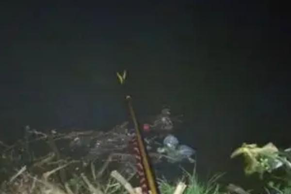 秋天夜钓鲢鳙效果如何，效果不错