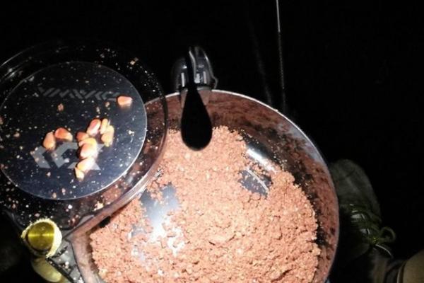 秋天夜钓鲢鳙效果如何，效果不错